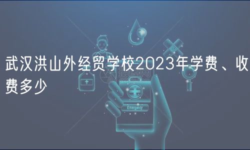 武漢洪山外經貿學校2023年學費、收費多少