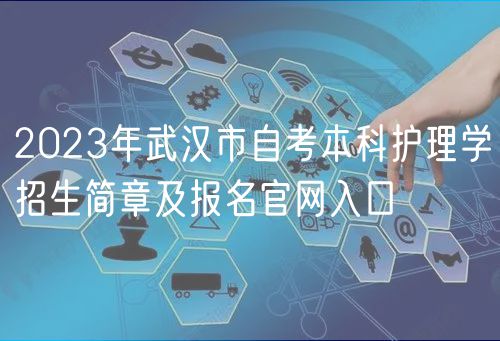 2023年武漢市自考本科護理學招生簡章及報名官網(wǎng)入口