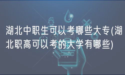 湖北中職生可以考哪些大專(湖北職高可以考的大學有哪些)