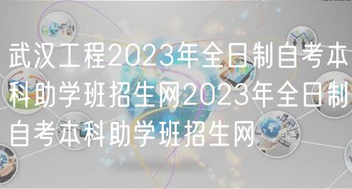 武漢工程2023年全日制自考本科助學(xué)班招生網(wǎng)2023年全日制自考本科助學(xué)班招生網(wǎng)