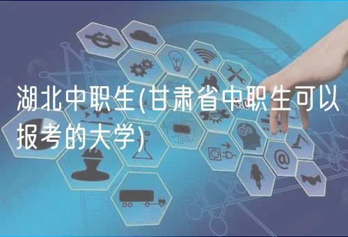 湖北中職生(湖北省中職生可以報(bào)考的大學(xué))