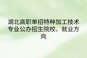 湖北高職單招特種加工技術(shù)專業(yè)公辦招生院校、就業(yè)方向