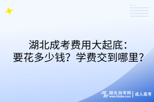 湖北成考費用大起底：要花多少錢？學費交到哪里？