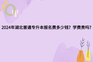 2024年湖北普通專升本報名費多少錢？專升本學(xué)費貴嗎？