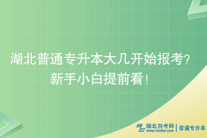 湖北普通專升本大幾開始報考？新手小白提前看！