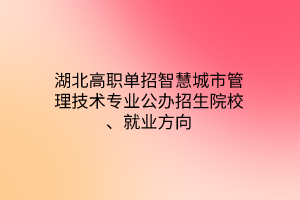 湖北高職單招智慧城市管理技術專業(yè)公辦招生院校、就業(yè)方向