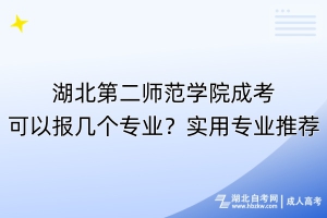 湖北第二師范學(xué)院成考可以報(bào)幾個(gè)專(zhuān)業(yè)？實(shí)用專(zhuān)業(yè)推薦