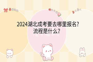 2024湖北成考要去哪里報名?流程是什么？