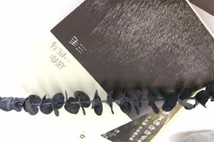 2021年湖北普通專升本考試是由誰來進行命題？