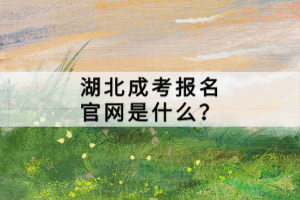 湖北成考報(bào)名官網(wǎng)是什么？