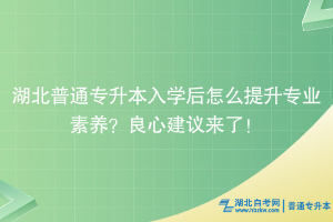 湖北普通專(zhuān)升本入學(xué)后怎么提升專(zhuān)業(yè)素養(yǎng)？良心建議來(lái)了！