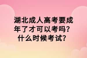 湖北成人高考要成年了才可以考嗎？什么時(shí)候考試？