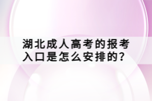 湖北成人高考的報(bào)考入口是怎么安排的？