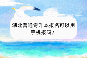 湖北普通專升本報名可以用手機報嗎？