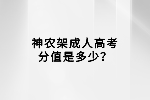 神農(nóng)架成人高考分值是多少？