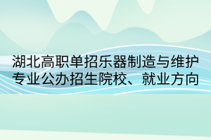 湖北高職單招樂(lè)器制造與維護(hù)專(zhuān)業(yè)公辦招生院校、就業(yè)方向