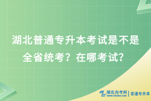湖北普通專(zhuān)升本考試是不是全省統(tǒng)考？在哪考試？