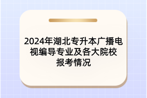 2024年湖北專升本廣播電視編導(dǎo)專業(yè)及各大院校報考情況