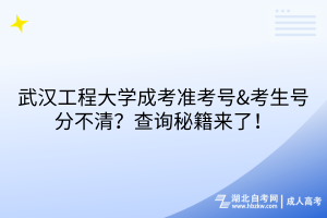 武漢工程大學(xué)成考準(zhǔn)考號&考生號分不清？查詢秘籍來了！