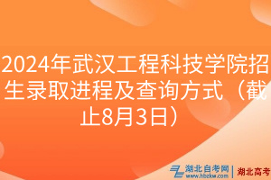 2024年武漢工程科技學(xué)院招生錄取進(jìn)程及查詢方式（截止8月3日）