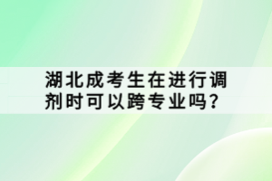 湖北成考生在進行調(diào)劑時可以跨專業(yè)嗎？