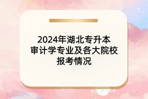 2024年湖北專升本審計(jì)學(xué)專業(yè)及各大院校報(bào)考情況