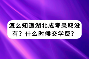 怎么知道湖北成考錄取沒有？什么時候交學(xué)費(fèi)？