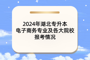 2024年湖北專升本電子商務(wù)專業(yè)及各大院校報(bào)考情況