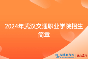 2024年武漢交通職業(yè)學院招生簡章