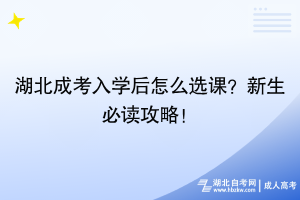 湖北成考入學(xué)后怎么選課？新生必讀攻略！