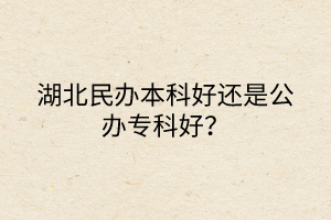 湖北民辦本科好還是公辦專科好？