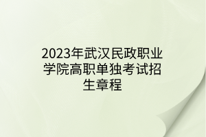 2023年武漢民政職業(yè)學(xué)院高職單獨(dú)考試招生章程