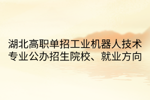 湖北高職單招工業(yè)機器人技術專業(yè)公辦招生院校、就業(yè)方向