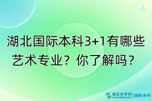 湖北國際本科3+1有哪些藝術(shù)專業(yè)？你了解嗎？