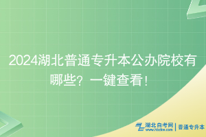 2024湖北普通專升本公辦院校有哪些？一鍵查看！