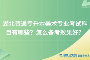 湖北普通專升本美術(shù)專業(yè)考試科目有哪些？怎么備考效果好？
