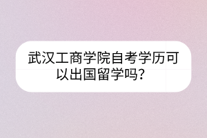 武漢工商學院自考學歷可以出國留學嗎？