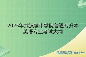 2025年武漢城市學(xué)院普通專(zhuān)升本英語(yǔ)專(zhuān)業(yè)考試大綱