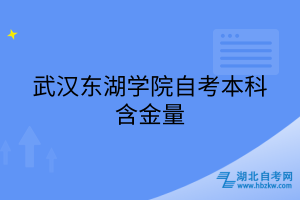 武漢東湖學(xué)院自考本科含金量