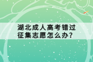 湖北成人高考錯(cuò)過征集志愿怎么辦？