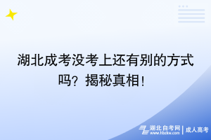 湖北成考沒考上還有別的方式嗎？揭秘真相！