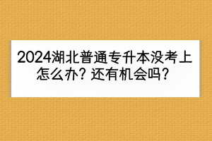 2024湖北普通專升本沒考上怎么辦？還有機會嗎？