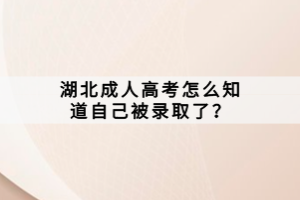 湖北成人高考怎么知道自己被錄取了？