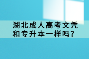 湖北成人高考文憑和專升本一樣嗎？