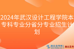 2024年武漢設(shè)計(jì)工程學(xué)院本專科專業(yè)分省分專業(yè)招生計(jì)劃