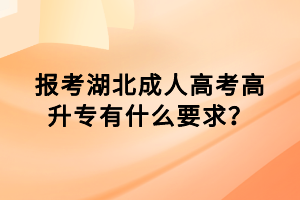 報考湖北成人高考高升專有什么要求？