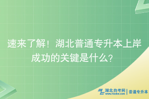 速來了解！湖北普通專升本上岸成功的關(guān)鍵是什么？