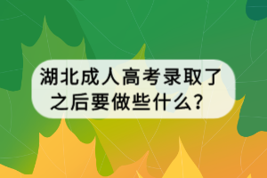 湖北成人高考錄取了之后要做些什么？