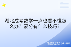 湖北成考數(shù)學(xué)一點(diǎn)也看不懂怎么辦？蒙分有什么技巧？