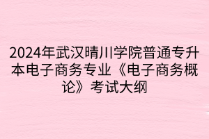 2024年武漢晴川學(xué)院普通專升本電子商務(wù)專業(yè)《電子商務(wù)概論》考試大綱